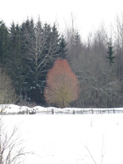Виктор Лукша: «Спасибо, Господи, Тебе, за поворот в моей судьбе»