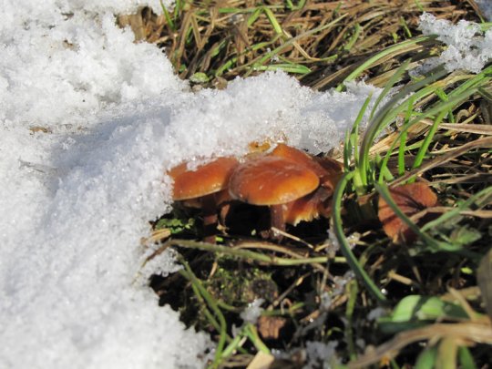 Виктор Лукша: «Спасибо, Господи, Тебе, за поворот в моей судьбе»