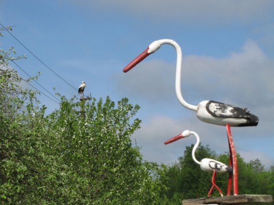 Виктор Лукша: «Спасибо, Господи, Тебе, за поворот в моей судьбе»