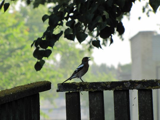 Виктор Лукша: «Спасибо, Господи, Тебе, за поворот в моей судьбе»