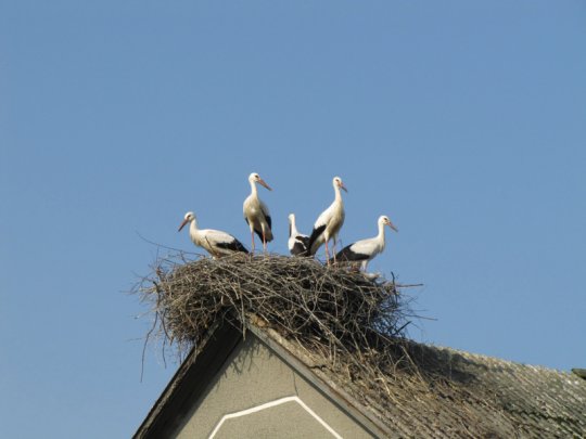 Виктор Лукша: «Спасибо, Господи, Тебе, за поворот в моей судьбе»