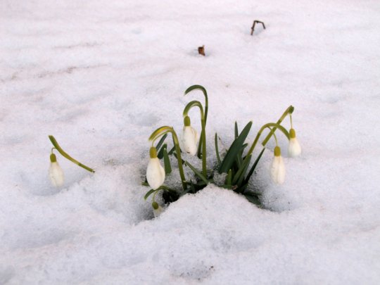 Виктор Лукша: «Спасибо, Господи, Тебе, за поворот в моей судьбе»