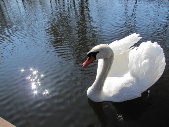 Виктор Лукша: «Спасибо, Господи, Тебе, за поворот в моей судьбе»