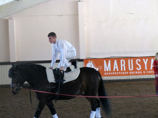 Наши вольтижеры опять в числе призеров!