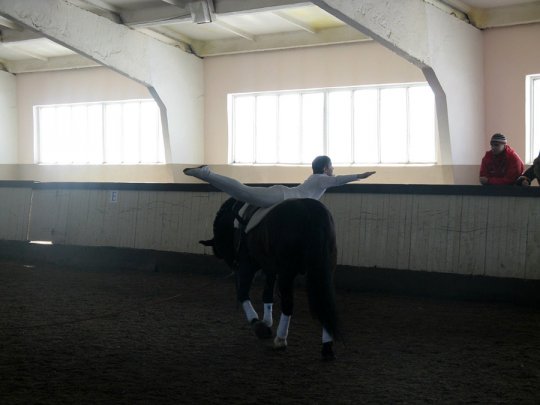 Наши вольтижеры опять в числе призеров!