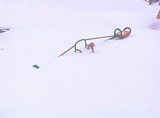 На Полотчине без чрезвычайных происшествий