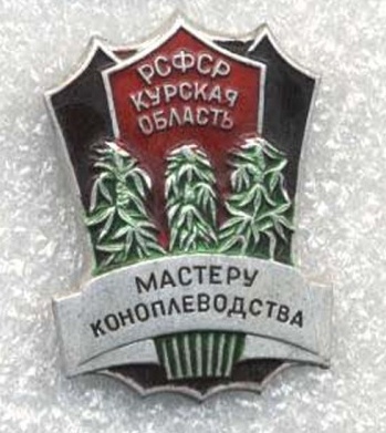 Слуцк 2013—2023 годы: десятилетие экспериментов