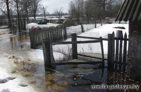 В Лунинецком районе в зоне возможных подтоплений 85 подворий. Вода подобралась к Гряде