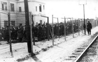 Место массовой гибели военнопленных и мирных жителей в Гродно обозначили указателем