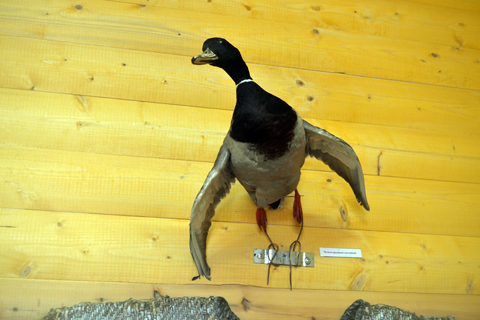 У глыбоцкім музеі праходзіць выстава народных промыслаў У глыбоцкім музеі праходзіць выстава народных промыслаў