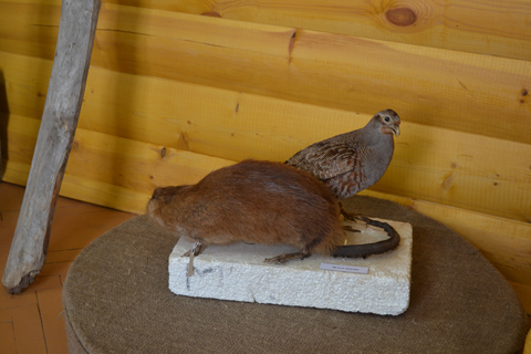 У глыбоцкім музеі праходзіць выстава народных промыслаў У глыбоцкім музеі праходзіць выстава народных промыслаў