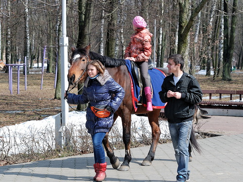 Открытие сезона в городском парке культуры и отдыха