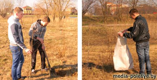 Деревья, посаженные учащимися политехнического колледжа, вырастут большими