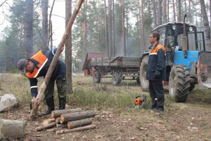 Тысячи костюковчан 20 апреля приняли участие в республиканском субботнике