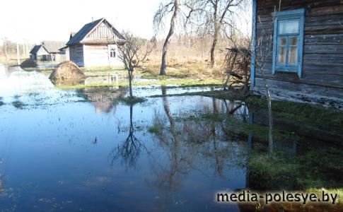 Люща. Взгляд на отдельно взятую деревню Лунинецкого района глазами очевидца