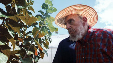 Боливия надеется, что суд в Гааге решит спор с Чили в ее пользу Боливия надеется, что суд в Гааге решит спор с Чили в ее пользу