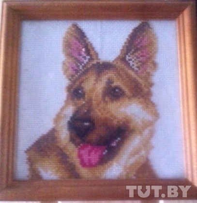 Об изнасиловании в приемной семье cообщили уже 4 девочки. Жена подозреваемого: "Я готова ему простить. Он золотой человек!"