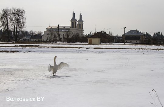 Шел пятый месяц зимы