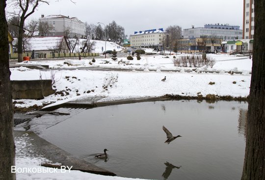 Шел пятый месяц зимы