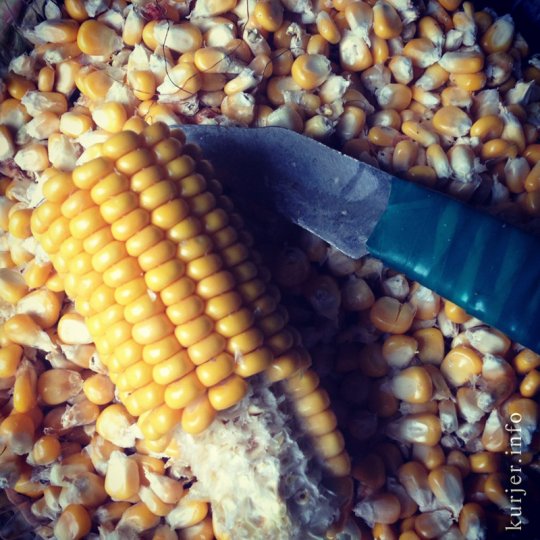 Фотоокна. 4 апреля 2013. Детали