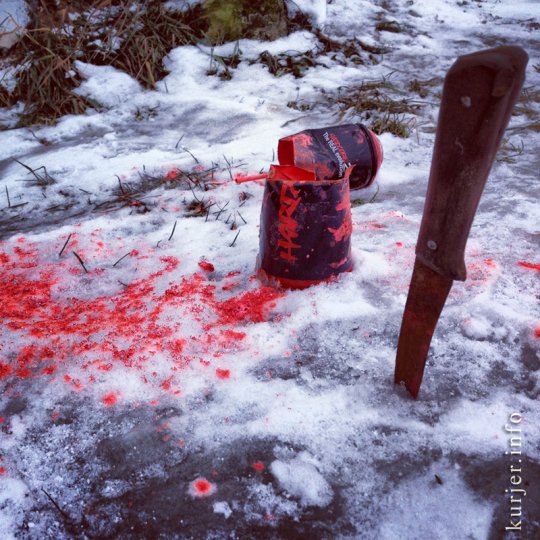 Фотоокна. 4 апреля 2013. Детали