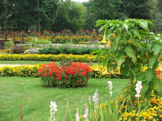 Першыя ўдзельнікі конкурса (+фота)