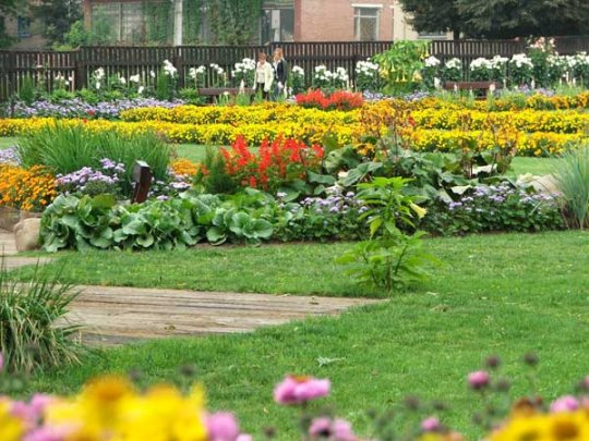 Першыя ўдзельнікі конкурса (+фота)