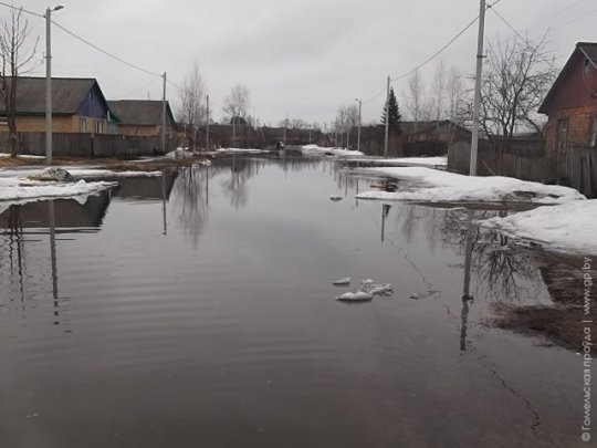 В Речицком районе подтоплено 28 подворий (фото, видео)