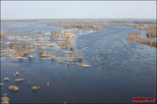 Полесье встречает весну. Паводок на Припяти