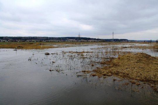 Россь выходит из берегов (фотофакт)