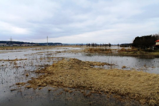 Россь выходит из берегов (фотофакт)