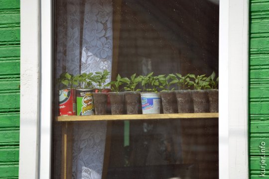 Фотоокна. 16 апреля 2013