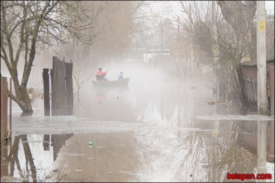 Дома сумна. Падарожжа восьмае. Петрыкаў-Галубіца-Снядзін