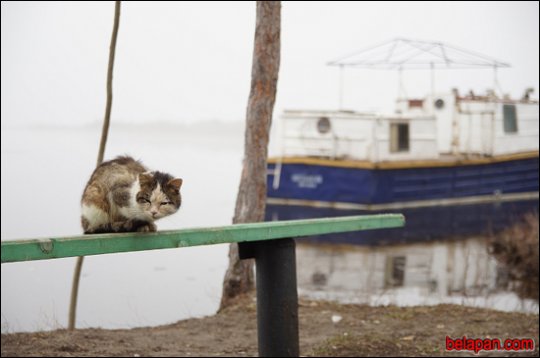 Дома сумна. Падарожжа восьмае. Петрыкаў-Галубіца-Снядзін