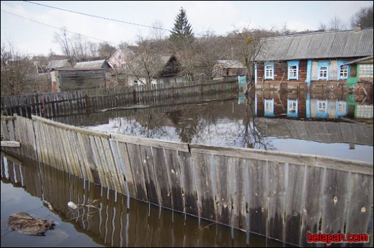 Дома сумна. Падарожжа восьмае. Петрыкаў-Галубіца-Снядзін