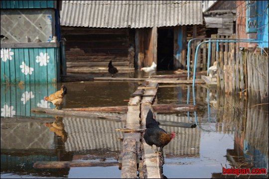 Дома сумна. Падарожжа восьмае. Петрыкаў-Галубіца-Снядзін