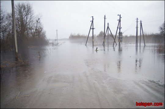 Дома сумна. Падарожжа восьмае. Петрыкаў-Галубіца-Снядзін