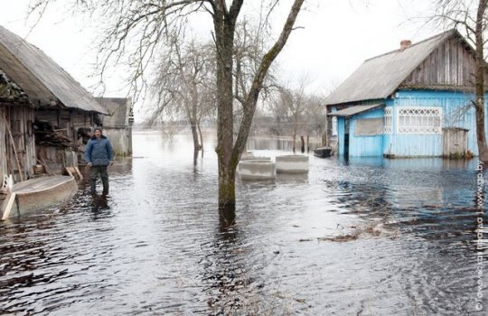 Четыре петриковские деревни уже около недели со всех сторон окружены большой водой (фото)