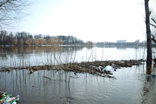 Днепр в Могилёве: ещё 4 см – и вода выйдет на пойму (фото)