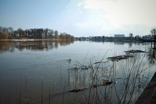 Днепр в Могилёве: ещё 4 см – и вода выйдет на пойму (фото)