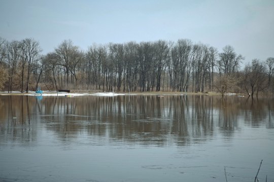 Днепр в Могилёве: ещё 4 см – и вода выйдет на пойму (фото)