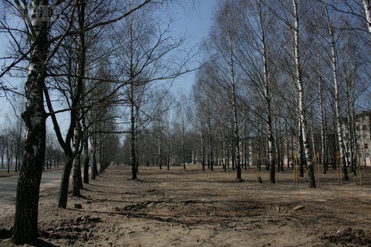 Скандальная стройка на Юбилейном: деревья срубили, дом строят, жители смирились