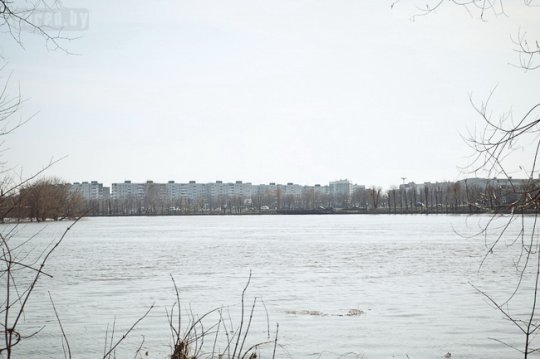 Днепр затопил в Могилёве 3 дома (фото)
