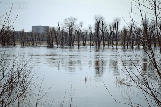 Днепр затопил в Могилёве 3 дома (фото)