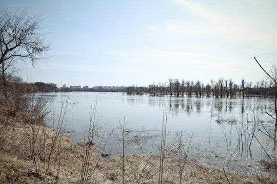 Днепр затопил в Могилёве 3 дома (фото)
