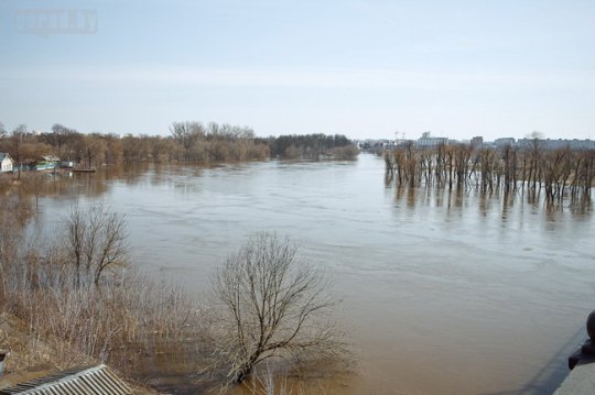 Днепр затопил в Могилёве 3 дома (фото)