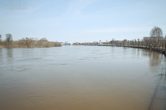Днепр затопил в Могилёве 3 дома (фото)