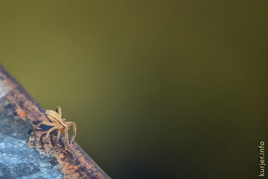 Фотоокна. 19 апреля 2013