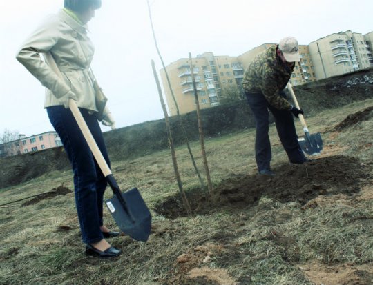 Барановичи вышли на республиканский субботник