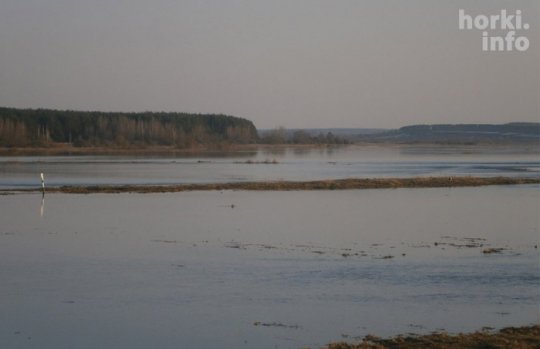 Як разлілася Проня. Фотафакт